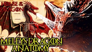 Meleys Dragon Anatomy Explored - Does This Dragon Have Supernatural Magical Abilities? - HOTD