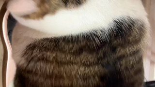 Dizziness is normal.