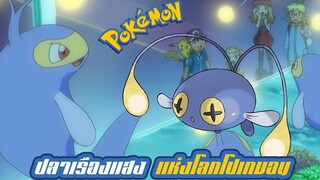 Pokemon Profile Chonchie (Chinchou) Lantern ปลาเรืองแสง แห่งโลกโปเกมอน (Chonchie คือปลาอะไร )