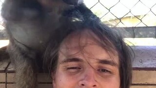 狒狒与饲养员小哥之间的友谊，真是不把他当外人啊~