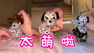 洋抖67万粉丝的跳舞博主！
