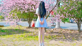 【A Ying】Spring Breeze Front【Vertical Screen】