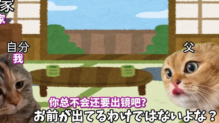 【熟肉】在南桐片制作公司打工的日常（家人篇） | 猫meme