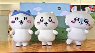 飞鼠宝宝莫莫咖 初登场