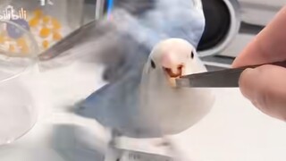 25月，一天3份工，0存款，爱好开宝箱