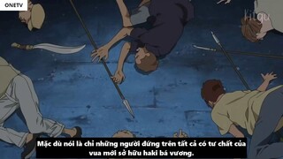 Zoro Có Haki Bá Vương_ - Tiềm Năng Sức Mạnh Của Zoro _ 5