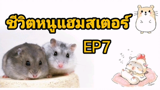 ชีวิตหนูแฮมสเตอร์ EP7 เขาวงกตง่ายนิดเดียว