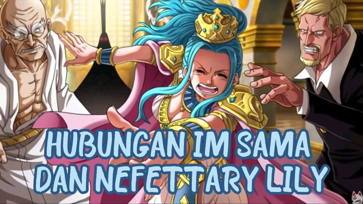 HUBUNGAN IM-SAMA, NEFERTARI LILY DAN JOYBOY | ONE PIECE TEORY