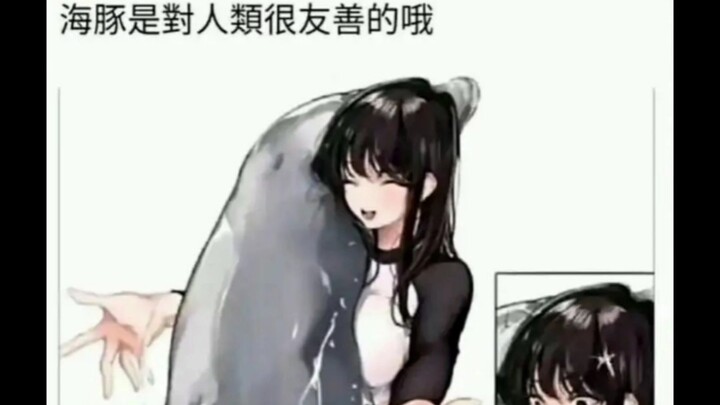 Online Image Editing (120)