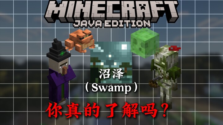 In 4 minutes, learn all about Minecraft swamps!!