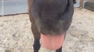 “我知道你想摸 来吧”