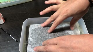 【模型制作】自制湿盘