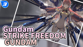 Gundam
STRIKE FREEDOM GUNDAM_3