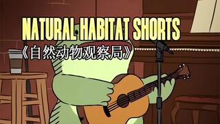 220428《自然动物观察局》- Natural Habitat Shorts