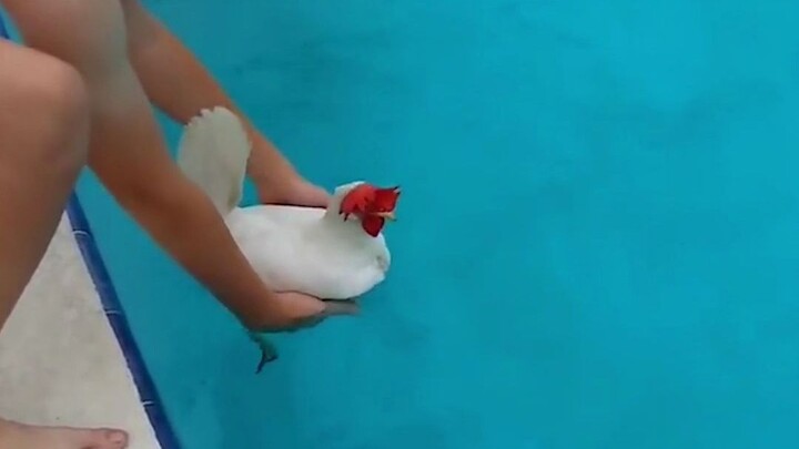 ธานอสแห่งวงการอาหาร