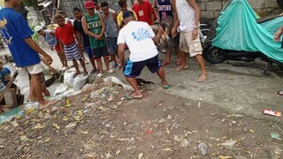 Standing knockout talisayin vs pula