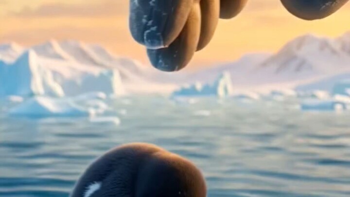 🐧❤️ नन्हा पेंगुइन बर्फ के छोटे से टुकड़े पर फँस गया था… तभी Giant Hand ने पहुँचकर उसे सुरक्षित बचा