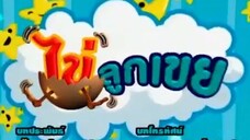 ไข่ลูกเขย48