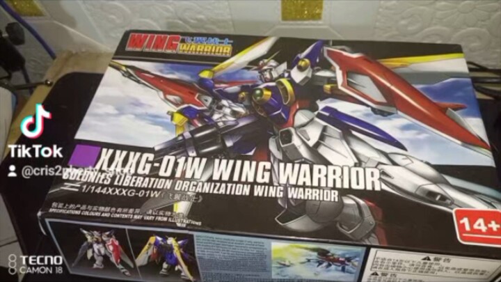 Gundam wing time lapse build.. #bilibili