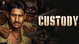 Custody | Hindi (2023)