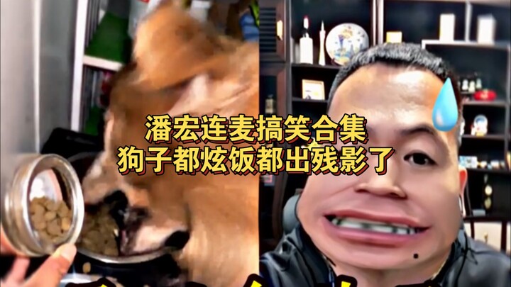 Kumpulan kolaborasi live panjang Pan Hong yang kocak, bahkan anjingnya sampai makan dengan cepat sek