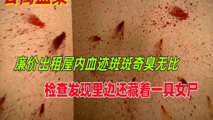 廉价出租屋内苍蝇乱飞奇臭无比，四面墙壁上甚至涂满了血迹