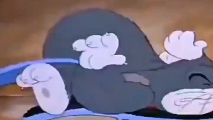 "As we all know, Tom and Jerry is a documentary"