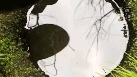 A fairy tale come to life in perfect real-world detail