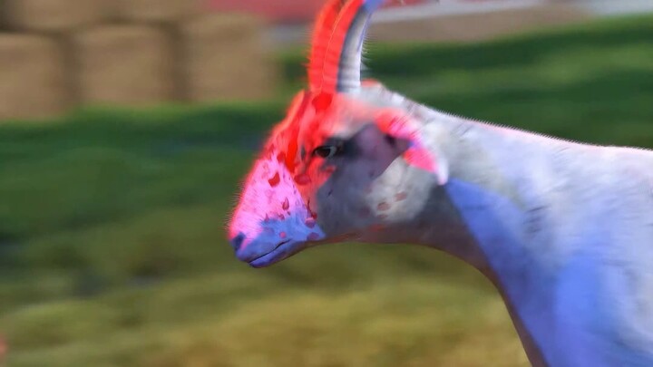 Dia sering menganiaya kambing dan akhirnya dibalas mati.