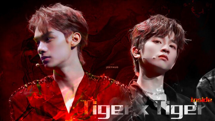 【ซิงโหย่ว｜พลังสูง☆ศึกเกาหลี】ไทเกอร์ x ไทเกอร์ด้านใน｜ขนาดเจ้าของตัวจริงยังต้องกดไลก์