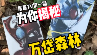 【假面骑士】万 岱 森 林 大 揭 秘