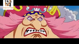 Vua Cờ Vây - Jinbei - đảo hải tặc #anime #schooltime