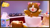 Ginger Makes Cake - Funny CAT Compilation - Ginger and Dad #gingercat3s