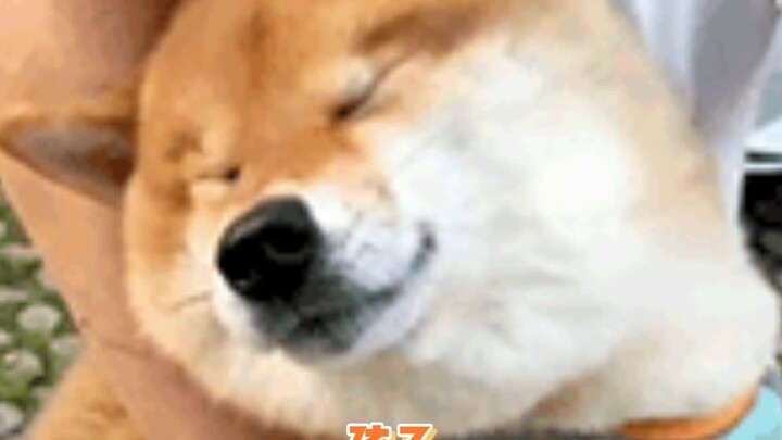 Yang jago edit dan yang hafal teks sama-sama terdiam.