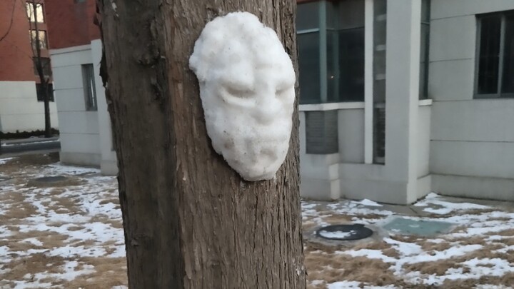 “Breadfruit Tree”