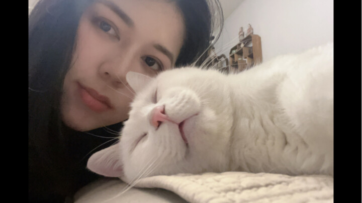 كيف حال القط الضال الذي تبناه والداي قبل عام؟