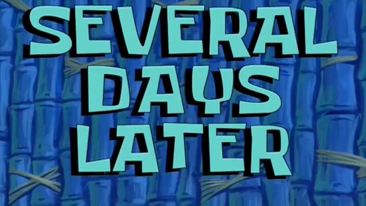 【Cat meme】About the time I “kidnapped” a friend who tried to end his life…