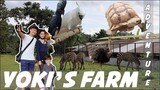 YOKI'S FARM ADVENTURE with the FAM | Gideon Estella PH