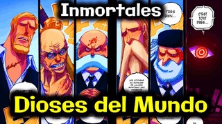20 AÑOS DESPUES ¡ el SECRETO del GOROSEI es REVELADO ! - ONE PIECE 1086 Review