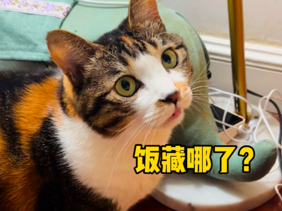 Setelah rumput laut yang sakit dipelihara secara terpisah, September mulai merasa tidak adil!