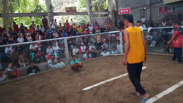 bulik win, tanggal lamang luob ng kalaban 😁 pero na pilayan siya.