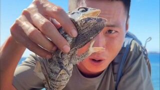 Episode pertama Africa (Madagascar) Desert Island Survival, setelah revisi, membentang lebih dari 10