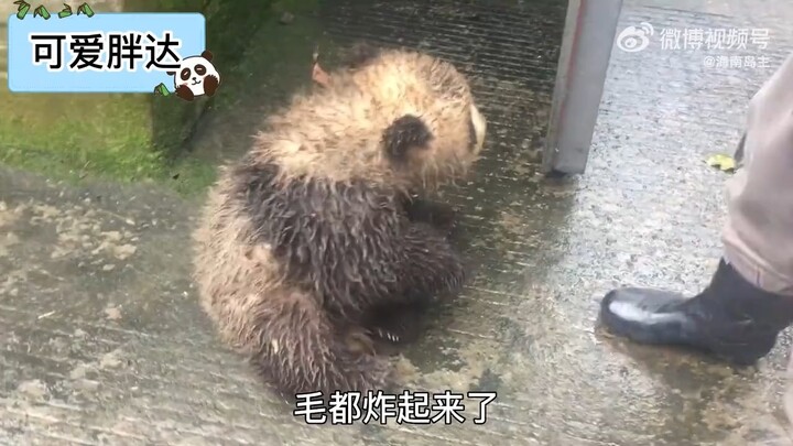 I can’t have it anymore, give it to me.