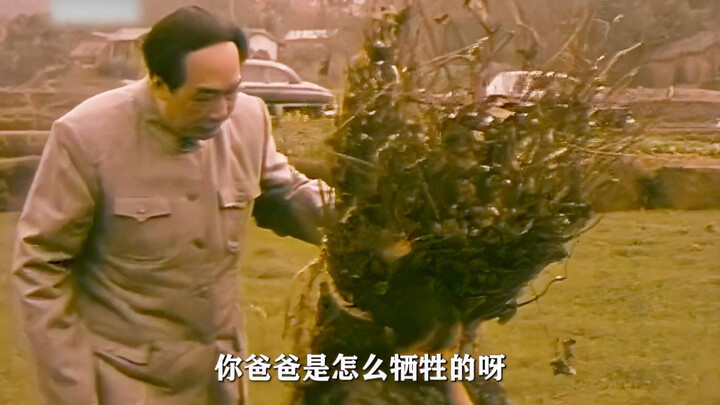 The chairman went to the countryside for an inspection and came across a little girl carrying firewo