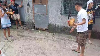 Entry 10 Pure pumkin win