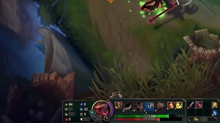 Seals Know What to Do