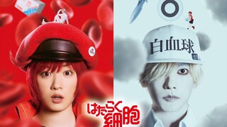 【中日歌词/完整版/髭男】工作细胞 漫改真人电影主题曲「50%」Official髭男dism【Hi-Res】