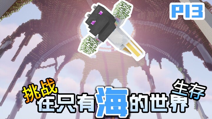 零物资!挑战在只有海的世界生存下去 P13【我的世界】