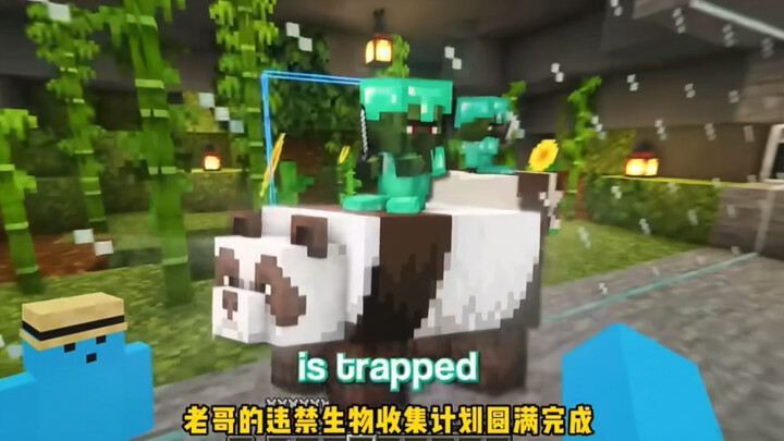 Creatures You Rarely See in Minecraft: The Forbidden Creature Collection Project Is Over