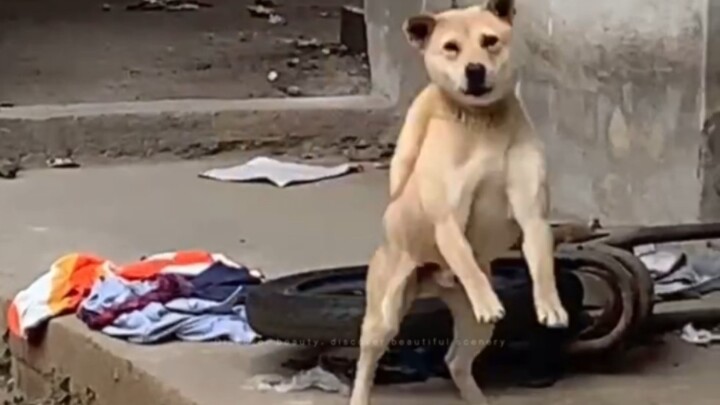 Người mạnh mẽ tự chủ chẳng bao giờ than phiền về hoàn cảnh.